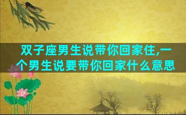 双子座男生说带你回家住,一个男生说要带你回家什么意思