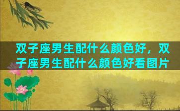 双子座男生配什么颜色好，双子座男生配什么颜色好看图片