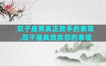 双子座男真正放手的表现,双子座真放弃你的表现