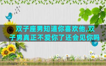 双子座男知道你喜欢他,双子男真正不爱你了还会见你吗