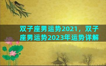 双子座男运势2021，双子座男运势2023年运势详解
