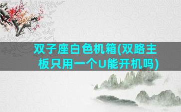 双子座白色机箱(双路主板只用一个U能开机吗)