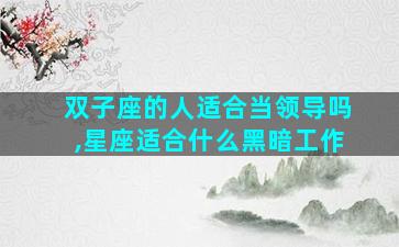 双子座的人适合当领导吗,星座适合什么黑暗工作