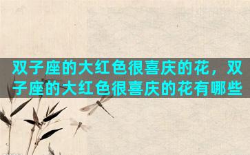 双子座的大红色很喜庆的花，双子座的大红色很喜庆的花有哪些