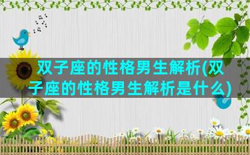 双子座的性格男生解析(双子座的性格男生解析是什么)