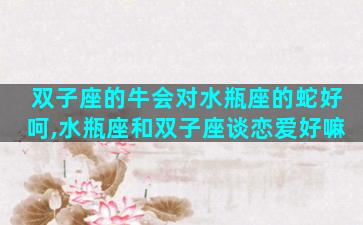 双子座的牛会对水瓶座的蛇好呵,水瓶座和双子座谈恋爱好嘛
