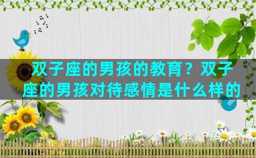 双子座的男孩的教育？双子座的男孩对待感情是什么样的