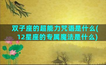 双子座的超能力咒语是什么(12星座的专属魔法是什么)
