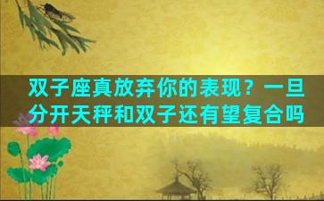 双子座真放弃你的表现？一旦分开天秤和双子还有望复合吗