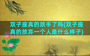双子座真的放手了吗(双子座真的放弃一个人是什么样子)