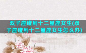 双子座碰到十二星座女生(双子座碰到十二星座女生怎么办)