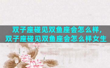 双子座碰见双鱼座会怎么样,双子座碰见双鱼座会怎么样女生