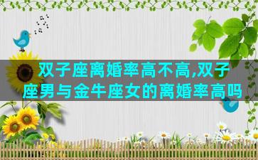 双子座离婚率高不高,双子座男与金牛座女的离婚率高吗