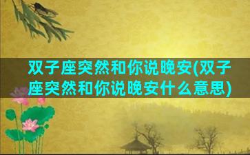 双子座突然和你说晚安(双子座突然和你说晚安什么意思)