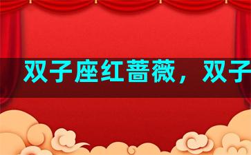 双子座红蔷薇，双子红颜