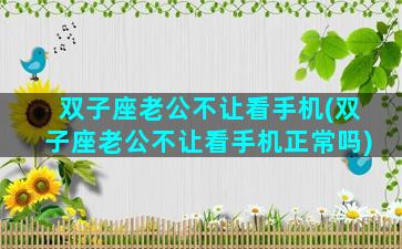双子座老公不让看手机(双子座老公不让看手机正常吗)