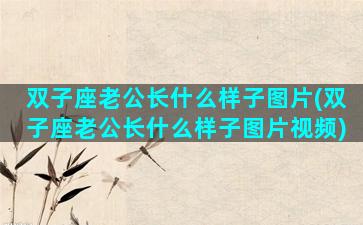 双子座老公长什么样子图片(双子座老公长什么样子图片视频)