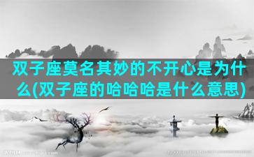 双子座莫名其妙的不开心是为什么(双子座的哈哈哈是什么意思)