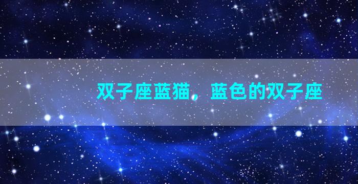 双子座蓝猫，蓝色的双子座