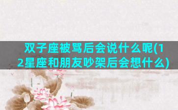 双子座被骂后会说什么呢(12星座和朋友吵架后会想什么)