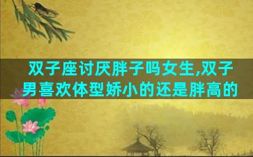 双子座讨厌胖子吗女生,双子男喜欢体型娇小的还是胖高的