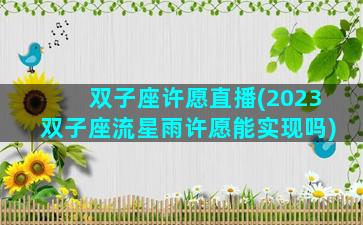 双子座许愿直播(2023双子座流星雨许愿能实现吗)