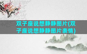 双子座说想静静图片(双子座说想静静图片表情)