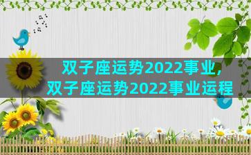 双子座运势2022事业,双子座运势2022事业运程
