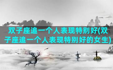 双子座追一个人表现特别好(双子座追一个人表现特别好的女生)