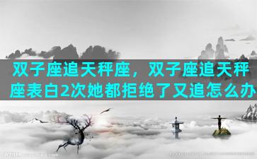 双子座追天秤座，双子座追天秤座表白2次她都拒绝了又追怎么办