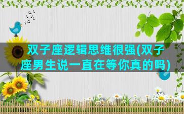 双子座逻辑思维很强(双子座男生说一直在等你真的吗)