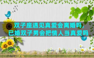 双子座遇见真爱会离婚吗,已婚双子男会把情人当真爱吗