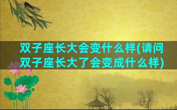 双子座长大会变什么样(请问双子座长大了会变成什么样)
