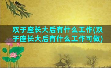 双子座长大后有什么工作(双子座长大后有什么工作可做)