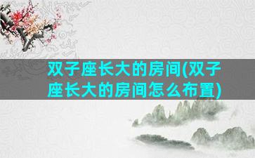 双子座长大的房间(双子座长大的房间怎么布置)