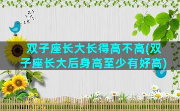 双子座长大长得高不高(双子座长大后身高至少有好高)