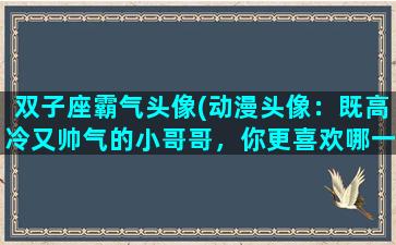 双子座霸气头像(动漫头像：既高冷又帅气的小哥哥，你更喜欢哪一个)