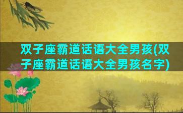 双子座霸道话语大全男孩(双子座霸道话语大全男孩名字)