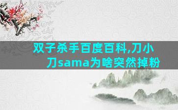 双子杀手百度百科,刀小刀sama为啥突然掉粉