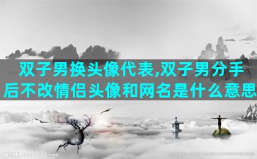 双子男换头像代表,双子男分手后不改情侣头像和网名是什么意思