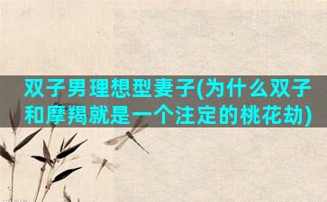 双子男理想型妻子(为什么双子和摩羯就是一个注定的桃花劫)