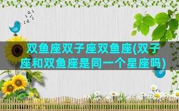 双鱼座双子座双鱼座(双子座和双鱼座是同一个星座吗)