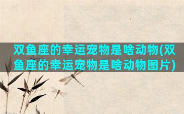 双鱼座的幸运宠物是啥动物(双鱼座的幸运宠物是啥动物图片)