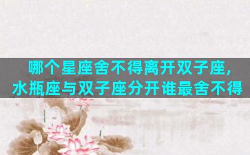 哪个星座舍不得离开双子座,水瓶座与双子座分开谁最舍不得