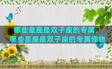 哪些星座是双子座的专属，哪些星座是双子座的专属宠物
