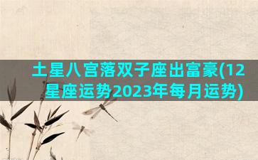 土星八宫落双子座出富豪(12星座运势2023年每月运势)