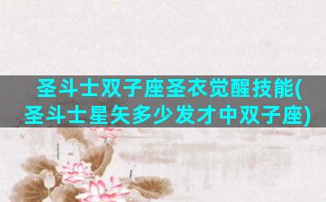 圣斗士双子座圣衣觉醒技能(圣斗士星矢多少发才中双子座)