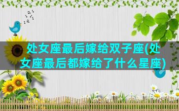 处女座最后嫁给双子座(处女座最后都嫁给了什么星座)
