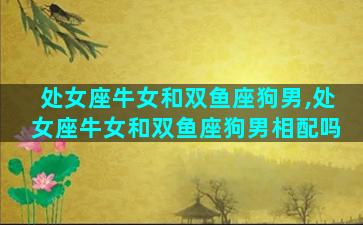 处女座牛女和双鱼座狗男,处女座牛女和双鱼座狗男相配吗