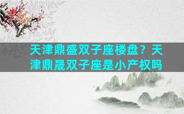 天津鼎盛双子座楼盘？天津鼎晟双子座是小产权吗